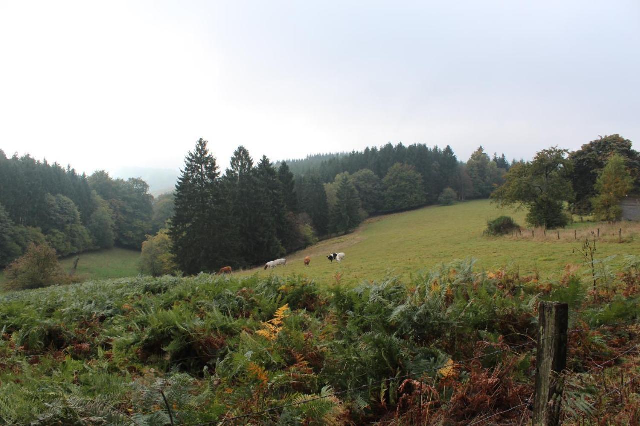 Ardennature Vakantiehuizen Met Prive-Sauna La-Roche-en-Ardenne Εξωτερικό φωτογραφία